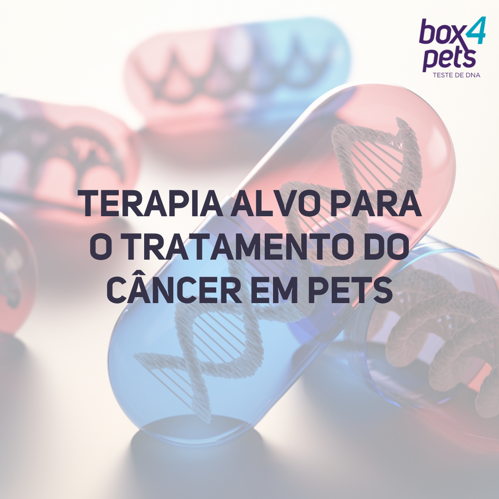 Terapia Alvo para o Tratamento do Câncer em Pets