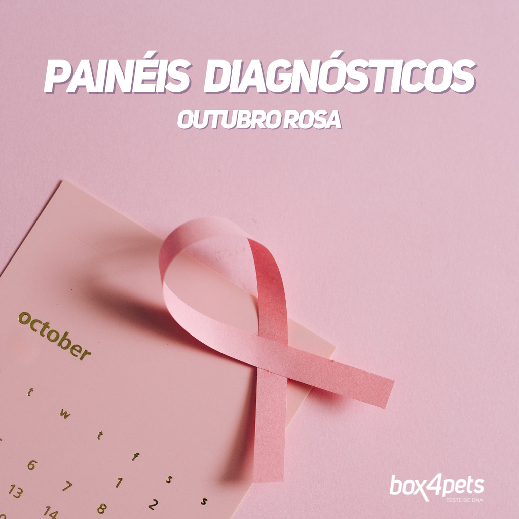 Outubro Rosa: Diagnóstico Preciso Para Cadelas e Gatas