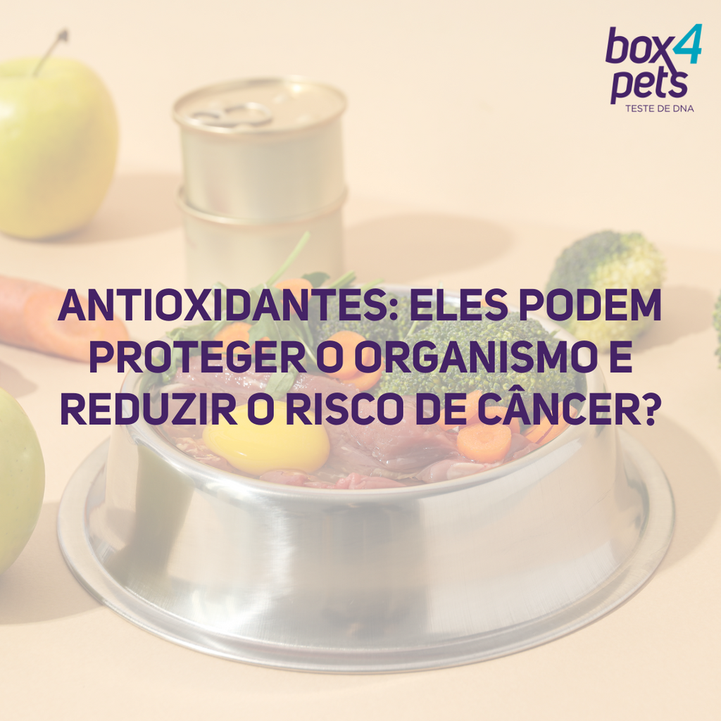 Antioxidantes: eles podem proteger o organismo e reduzir o risco de câncer?