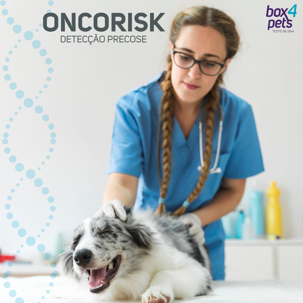 Câncer em cães: dá pra prever?