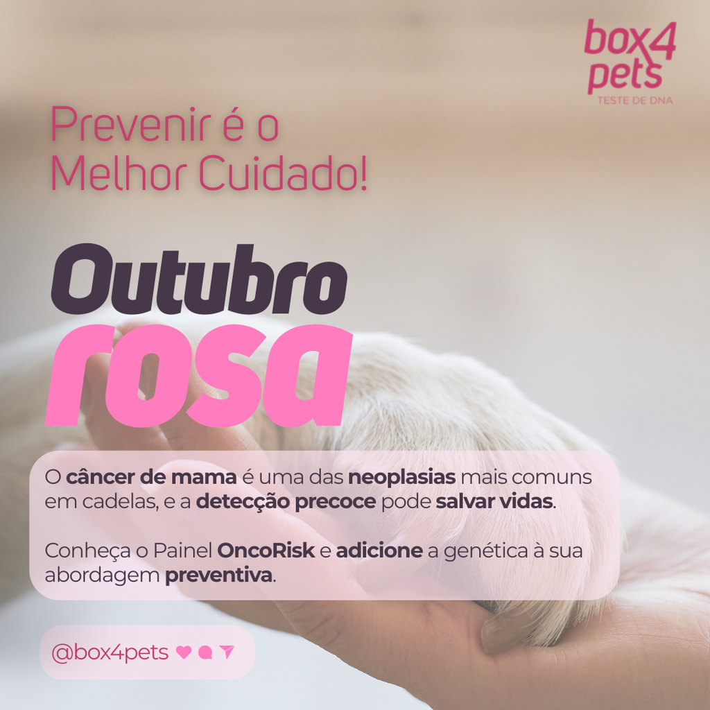 Outubro Rosa e o Painel Oncorisck