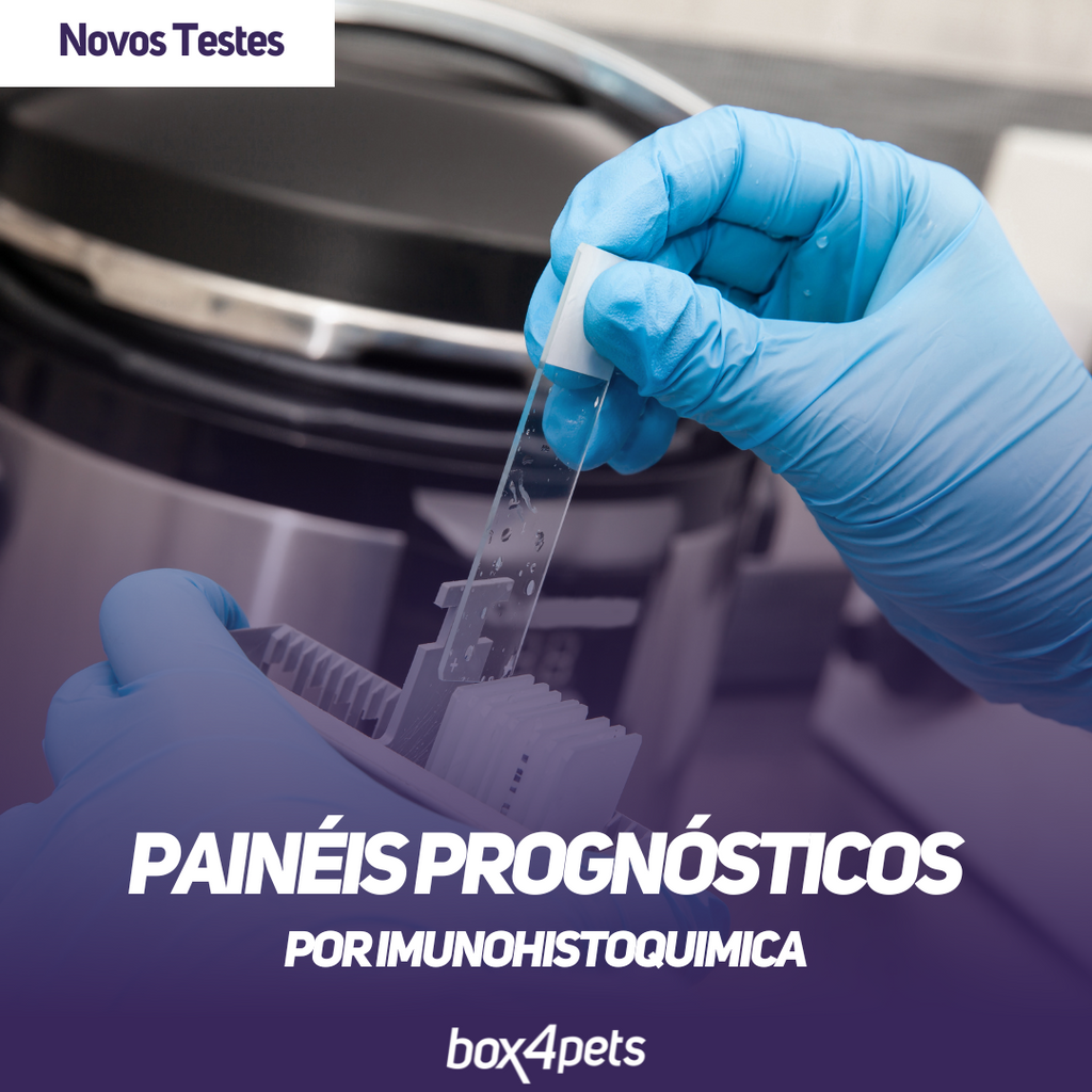 Novidade! Painéis Prognósticos por Imunohistoquímica da Box4Pets