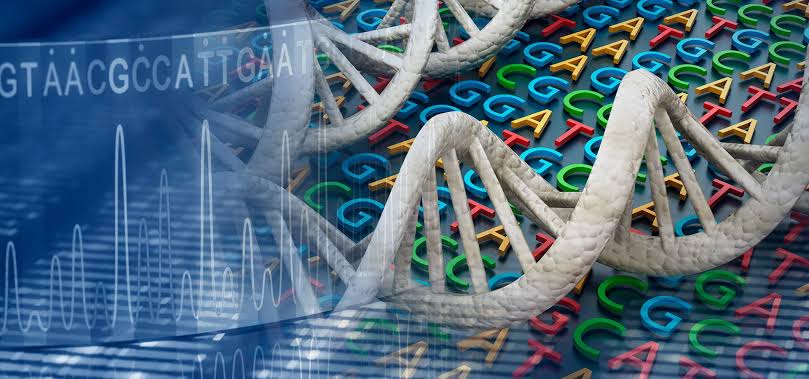 Conheça mais sobre nossa tecnologia!