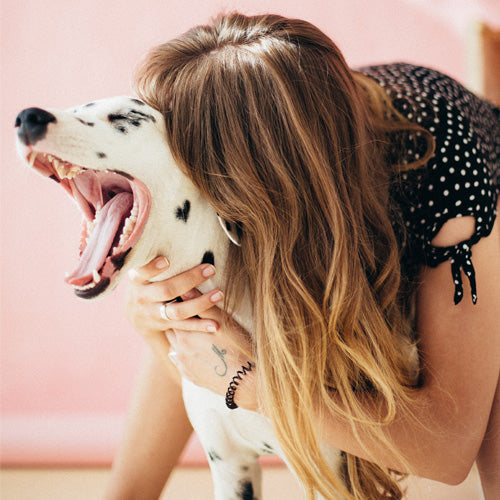 Teste de Paternidade em Animais de Estimação